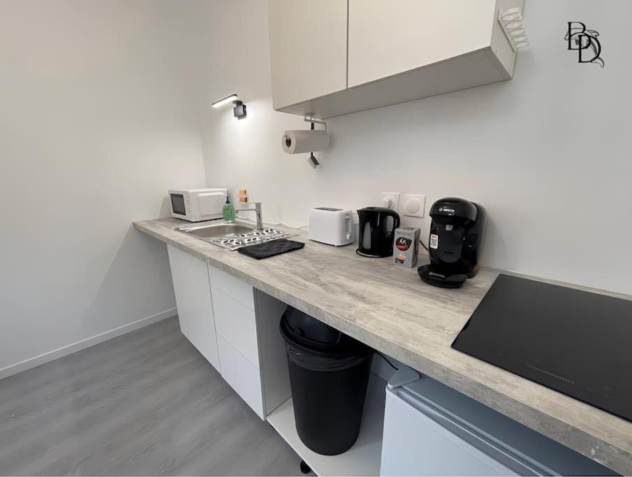 T1 Bis Appartement B3 30M2 Cosy 7Min A Pieds Des Gares Roanne Ngoại thất bức ảnh