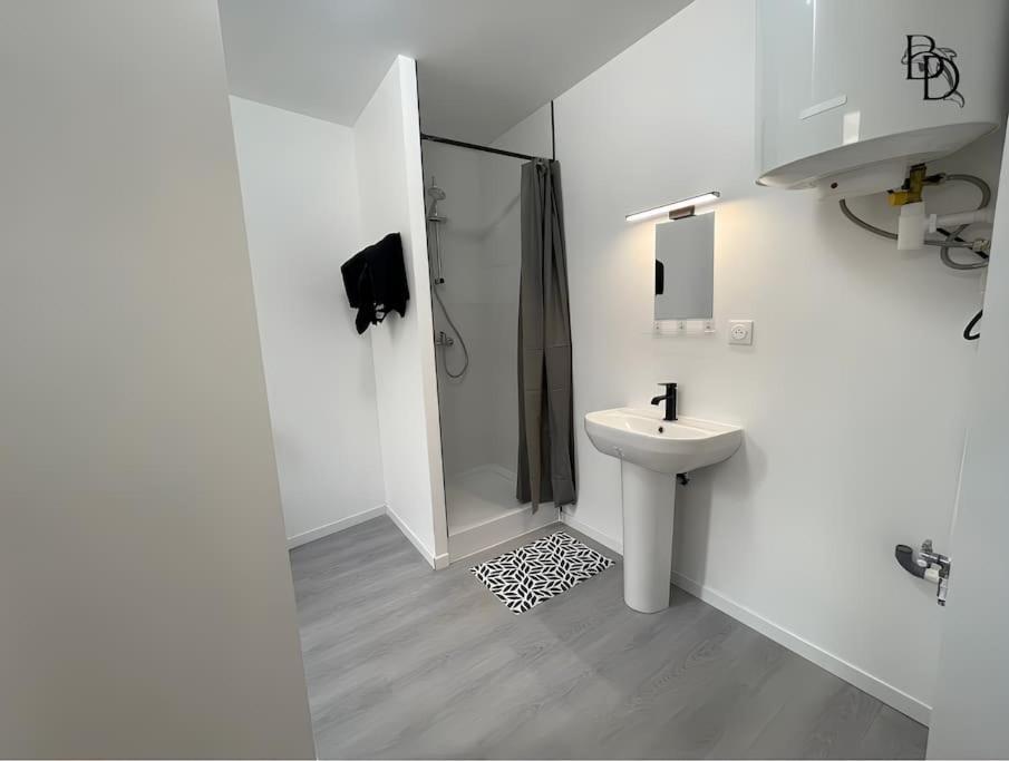 T1 Bis Appartement B3 30M2 Cosy 7Min A Pieds Des Gares Roanne Ngoại thất bức ảnh