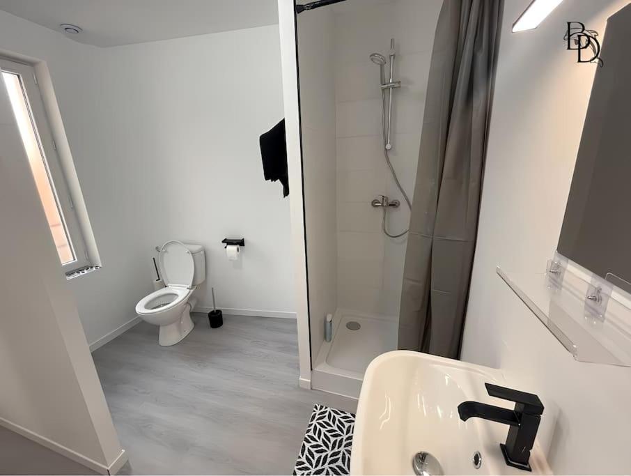 T1 Bis Appartement B3 30M2 Cosy 7Min A Pieds Des Gares Roanne Ngoại thất bức ảnh